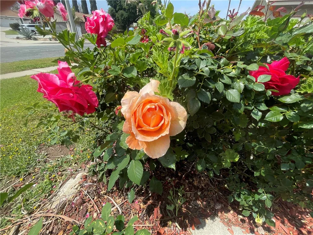 853 W Crestview Street, Corona, California 92882 home-pic-28